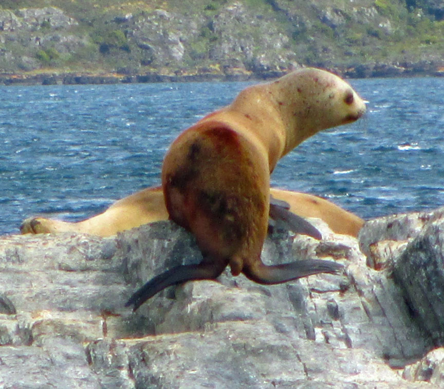 Ushuaia Argentina, Straight of Magellan