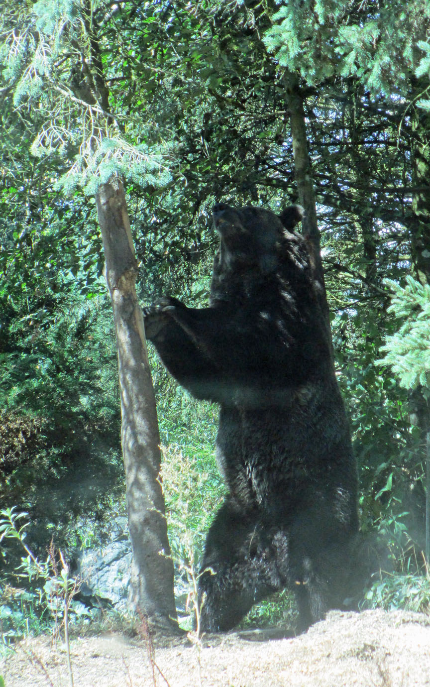 Seattle Woodland Park Zoo