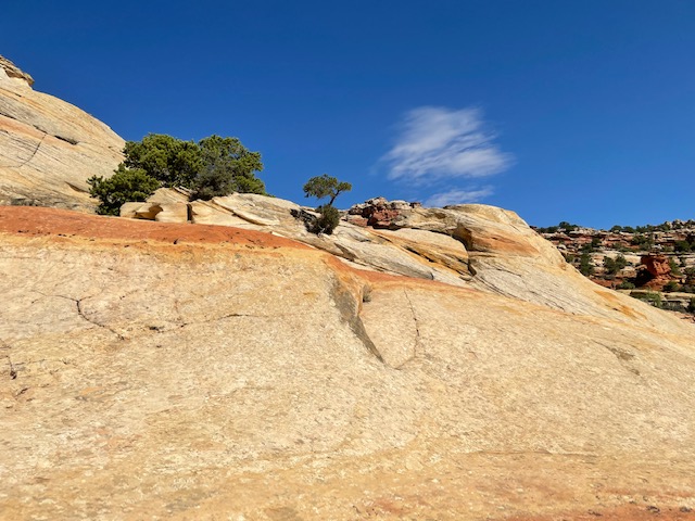 Cassidy Arch Trail in Utah