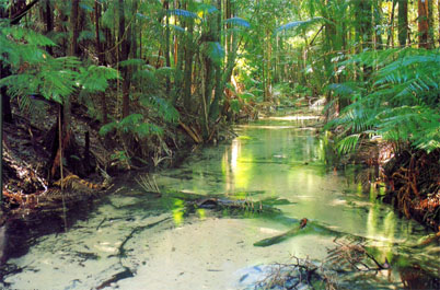 Australian Islands