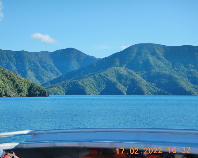 A view of the Marlborough Sounds New Zealand from the ferry to Punga Cove Resort