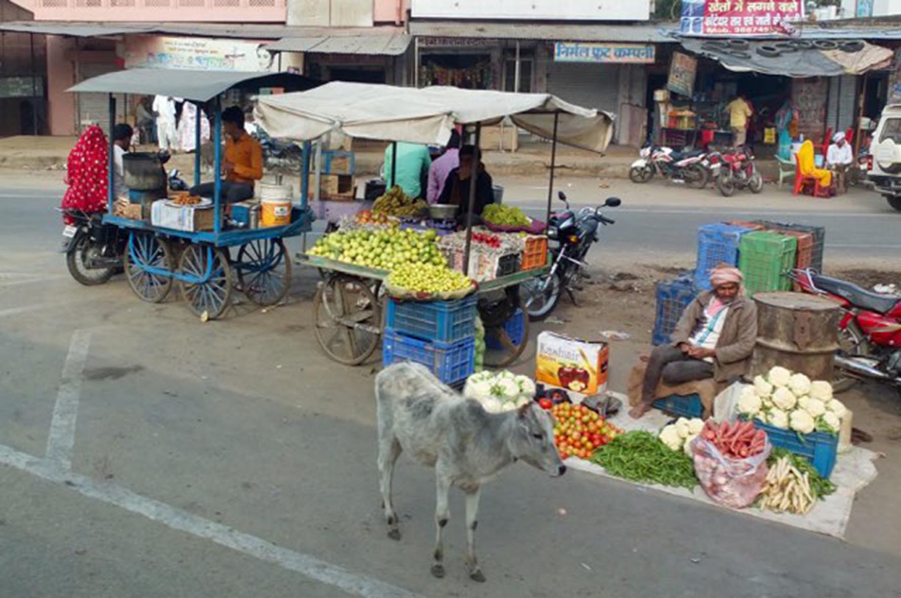 Joyriding in a Jugaad in Rajasthan