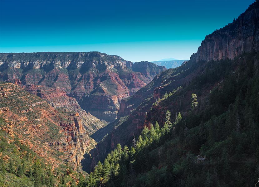 View of the Grand Canyon