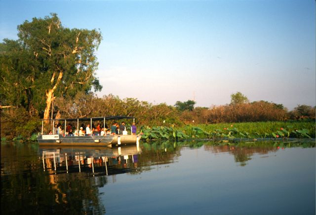 Billabong in Kakadu National Park, Australia