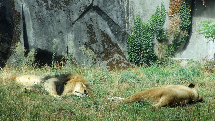 Seattle Woodland Park Zoo