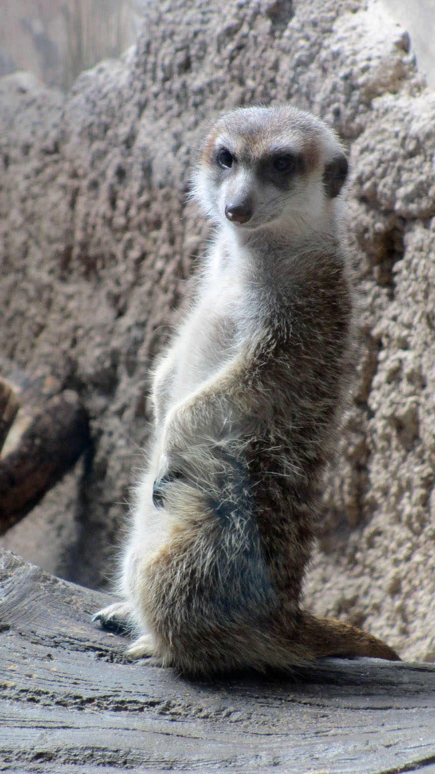 Seattle Woodland Park Zoo