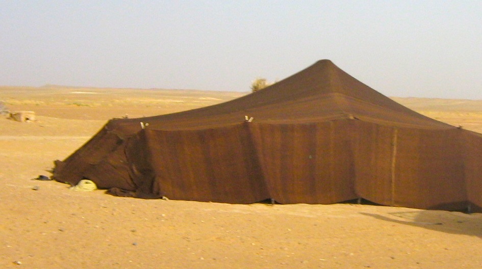 Camel Ride in Morocco