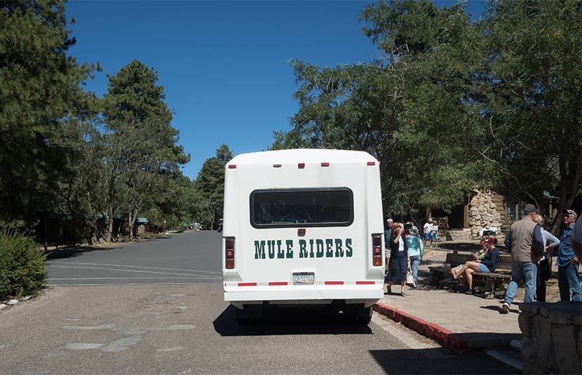 Grand Canyon Mule ride