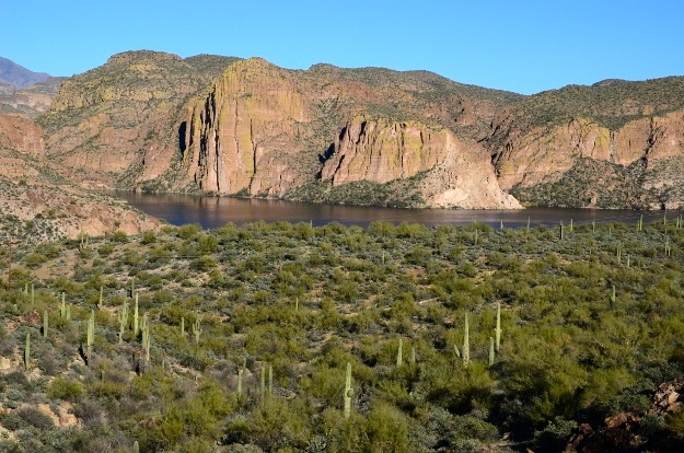 City of Phoenix