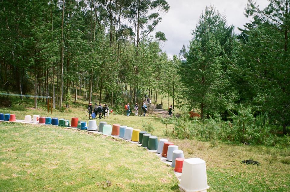 Row of buckets in the forest