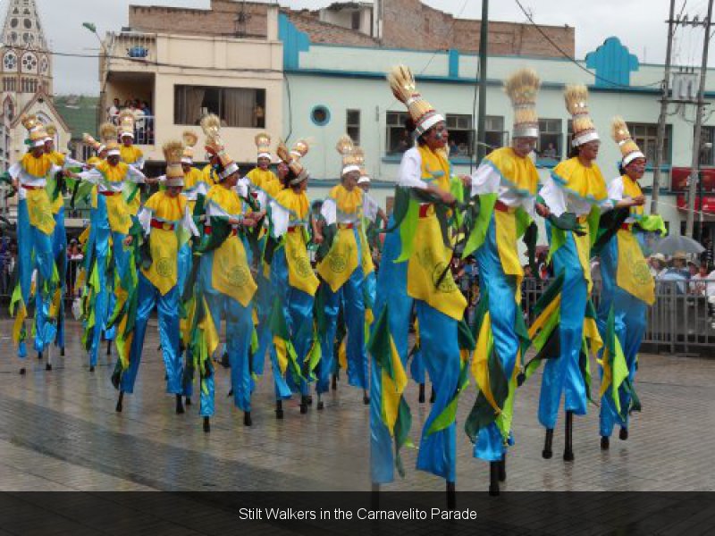 Blancos y Negros Carnival