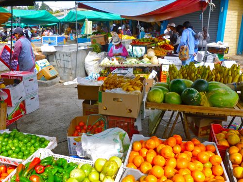 Expats in Ecuador