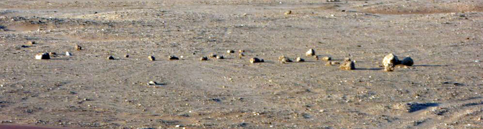 On the road Namibia