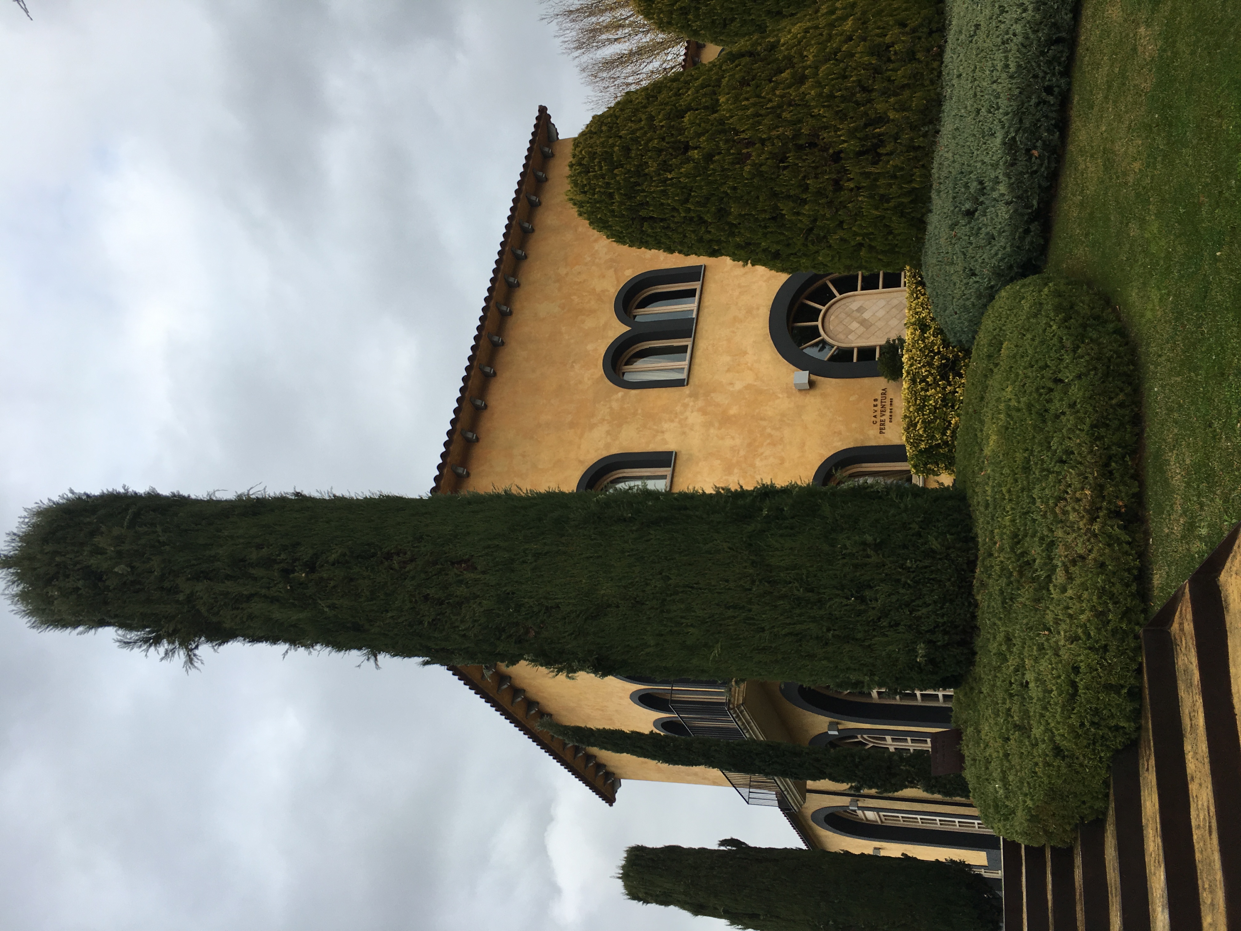 house with a tall tree in front of it