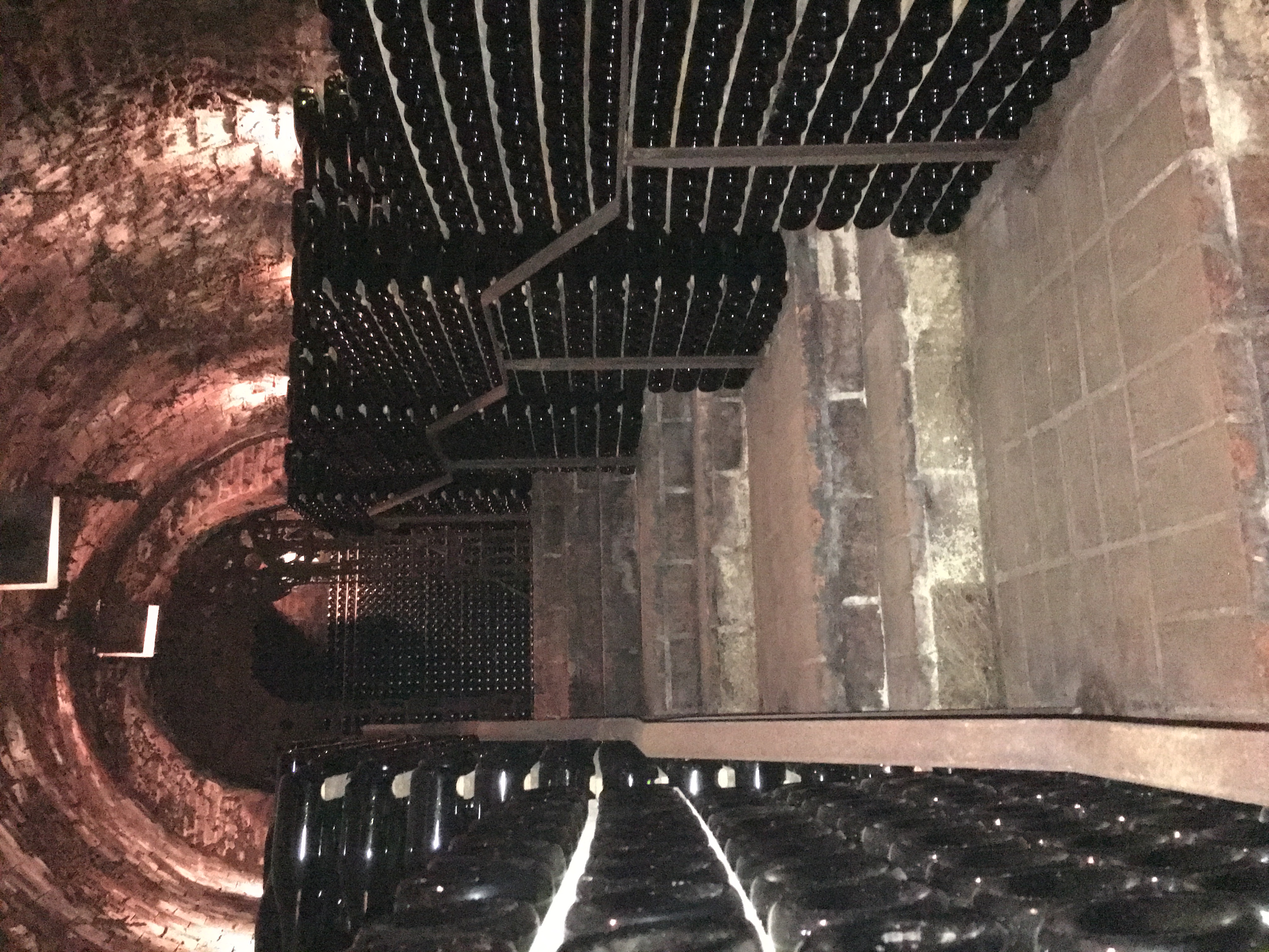 stairs down into a winery lined with bottles