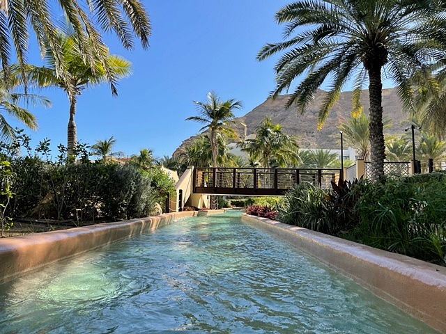 lazy river with palm trees and blue sky