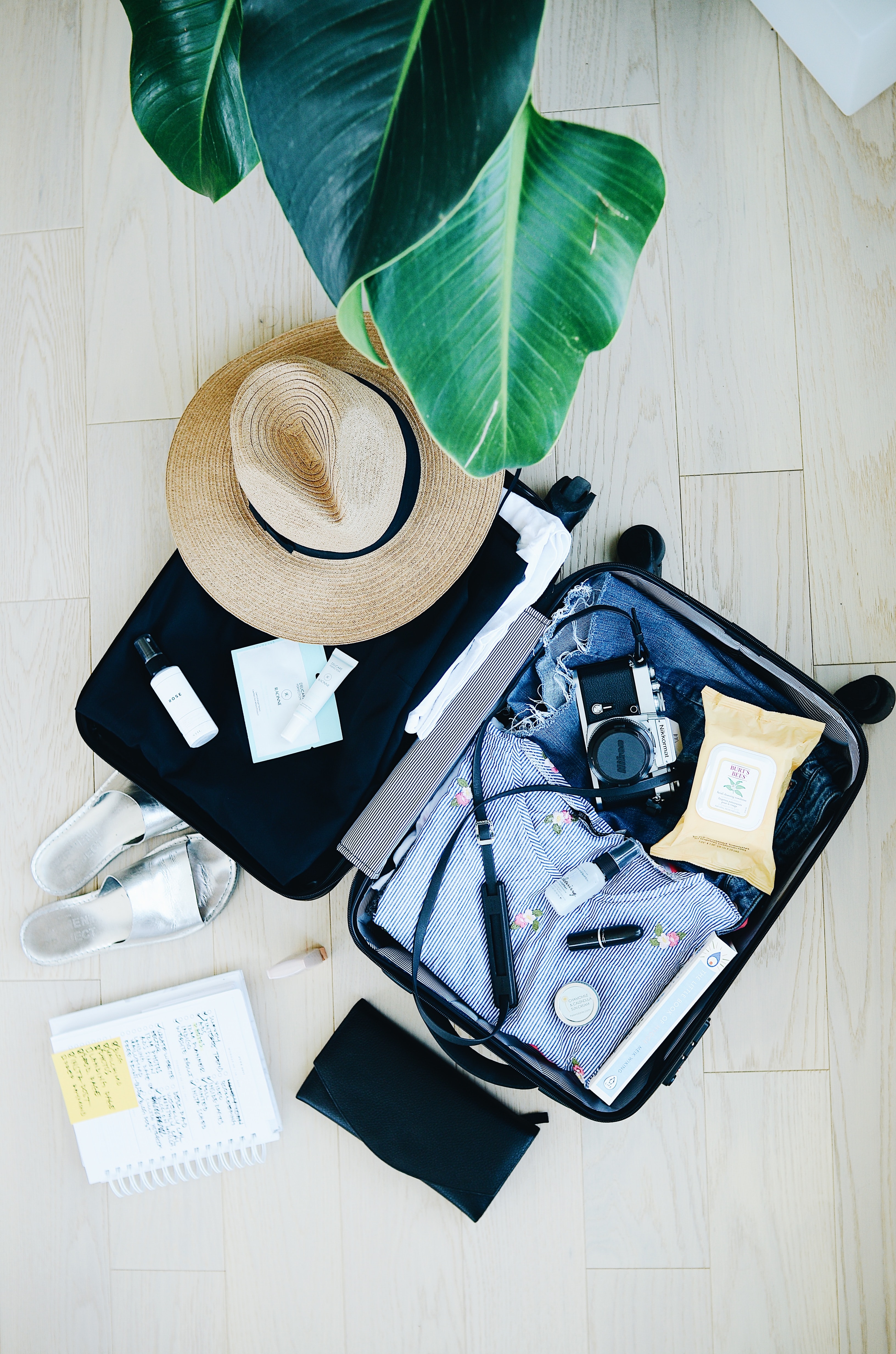 An open suitcase with some blue clothes, a camera, and a green palm frond above it.