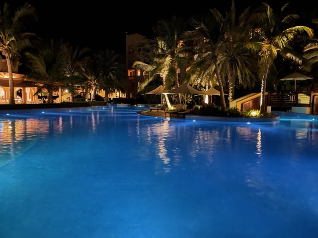 A blue pool with palm trees at night