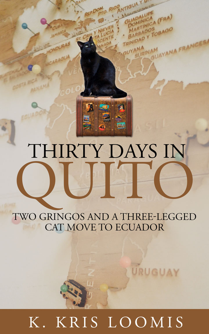 Book cover '30 Days in Quito'