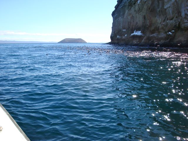 Snorkeling