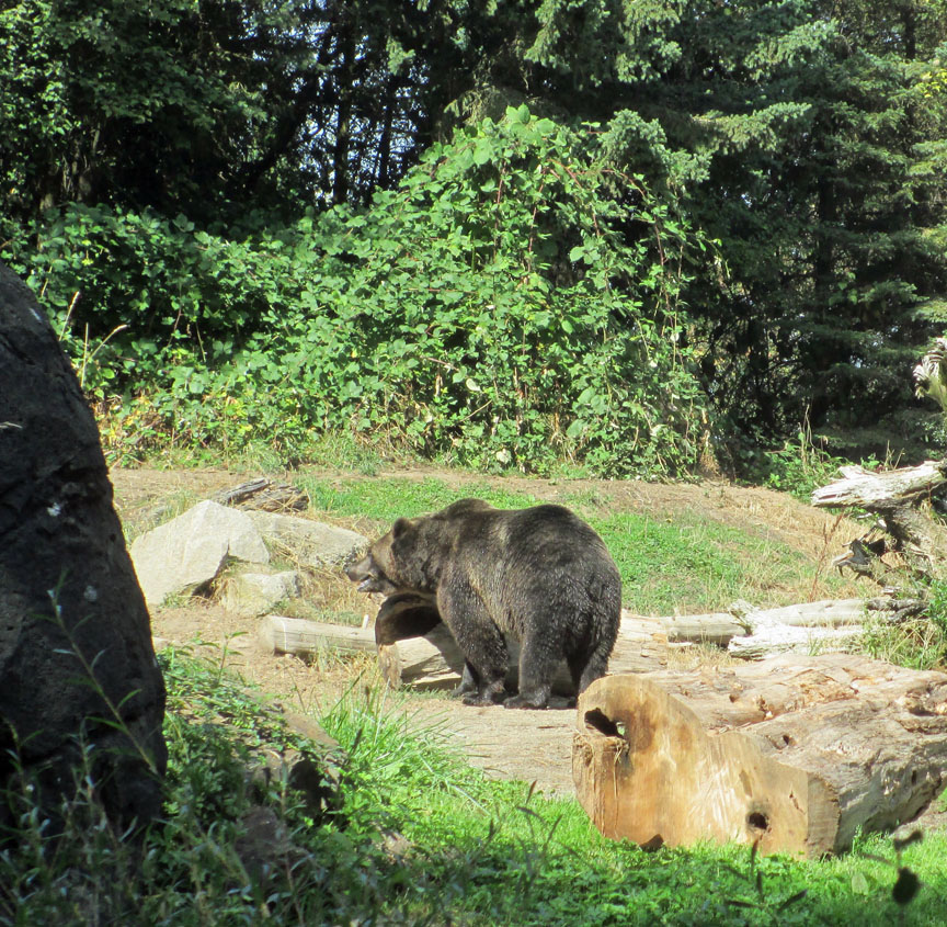 Seattle Woodland Park Zoo