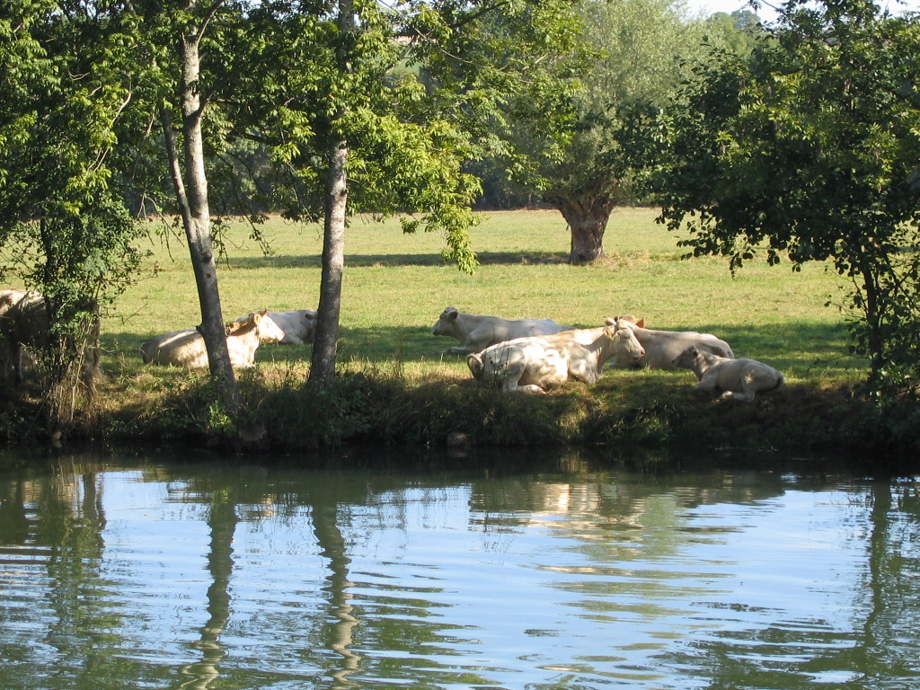 cruising Burgundy France