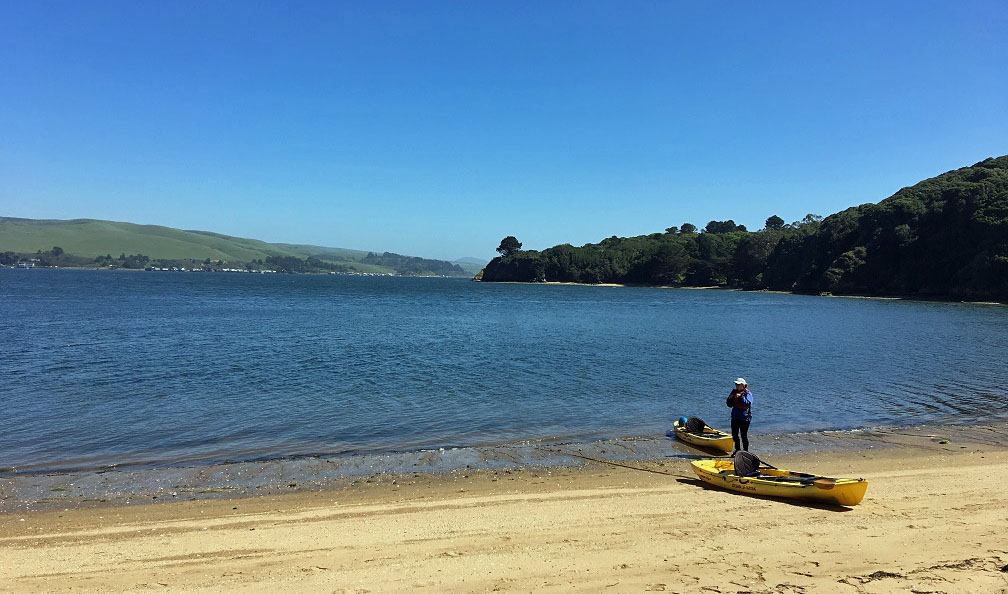 Kayaking Tomales Bay, California