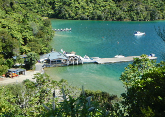 A view of the Boat Shed Bar and Restaurant at Punga Cove Resort from above, the Marlborough Sounds New Zealand