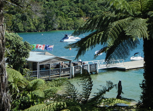 The Boat Shed Bar and Restaurant at Punga Cove Resort, the Marlborough Sounds New Zealand, viewed through the trees.