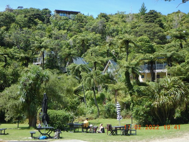 A view of the hillside accommodation at Punga Cove Resort, the Marlborough Sounds New Zealand