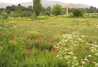 Delos island day trip