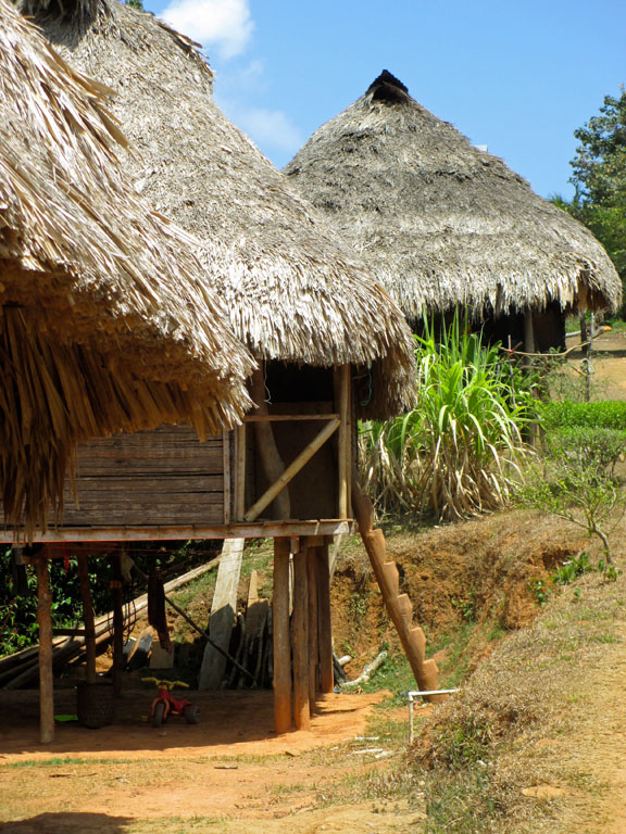 Panamas Indigenous Embera People