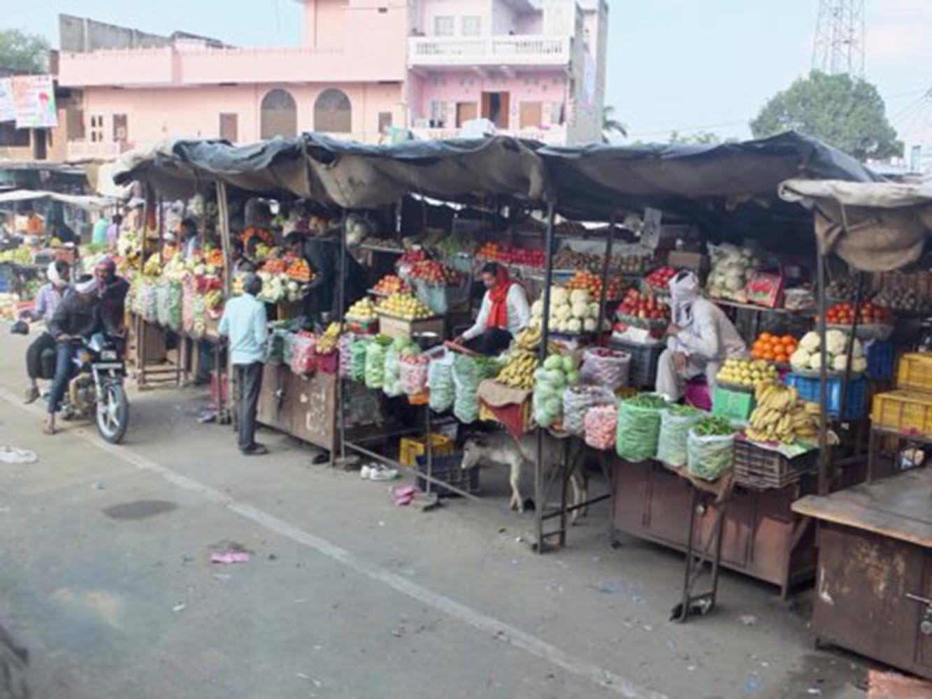 Joyriding in a Jugaad in Rajasthan