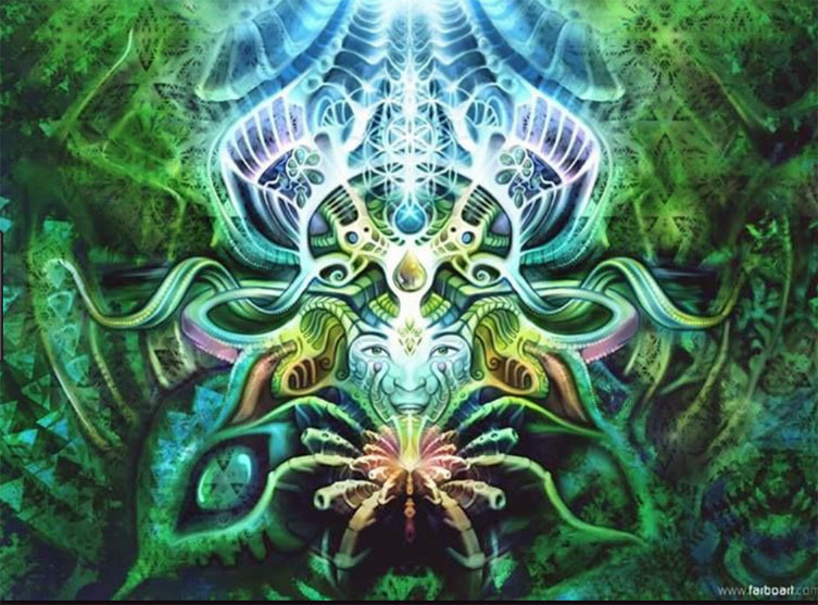 Ayahuasca Gaia Sagrada