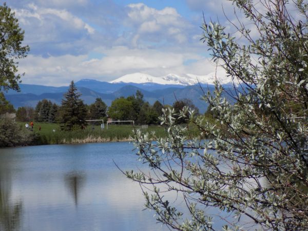 Healing Hikes
