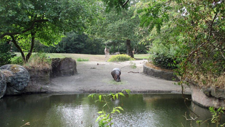 Seattle Woodland Park Zoo