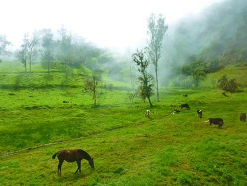 Bussing Andes