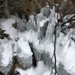 Falcon Ridge Ski resort