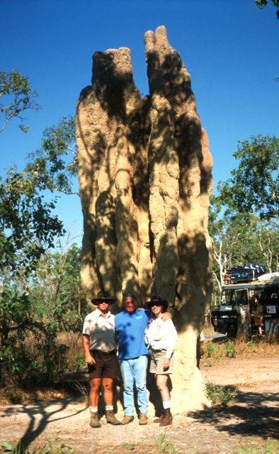 Huge termite nest in Kakadu National Park, Australia