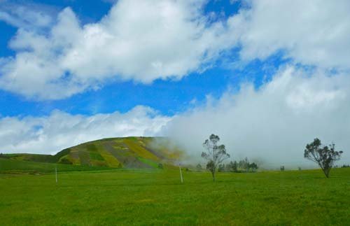 Bussing Andes