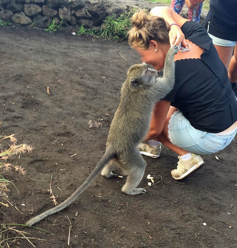 Bali volcanic Mount Batur: Paula Nandi Szabo Monkeys
