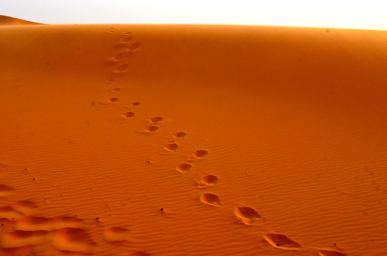 Camel Ride in Morocco