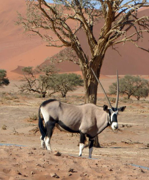 On the road Namibia