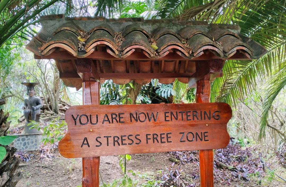 A wooden 'stress free zone' sign in a rainforest.