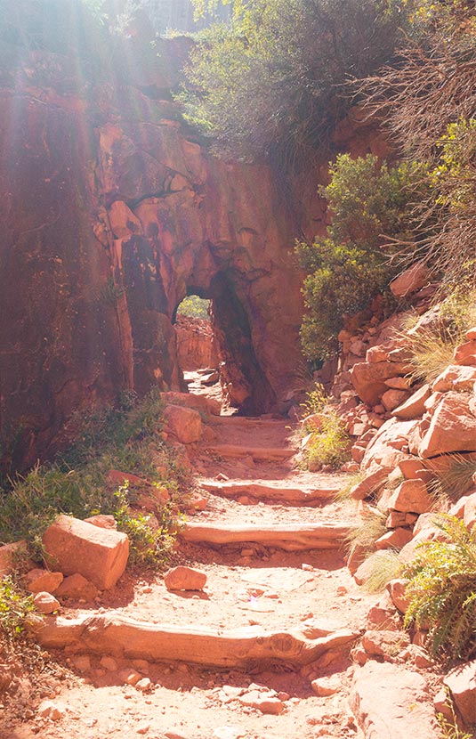 Grand Canyon Mule ride