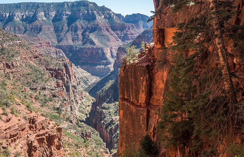 Grand Canyon Mule ride