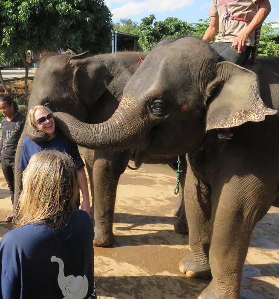 Adventures in Thailand