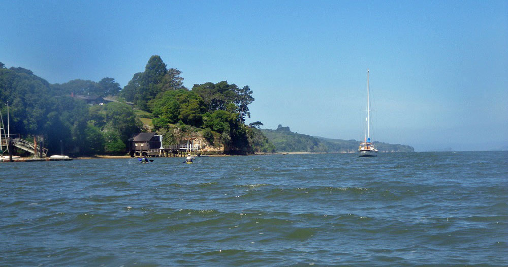 The water at Tomales Bay