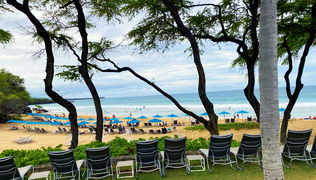 beach in Hawai'i with sunbeds and umbrellas