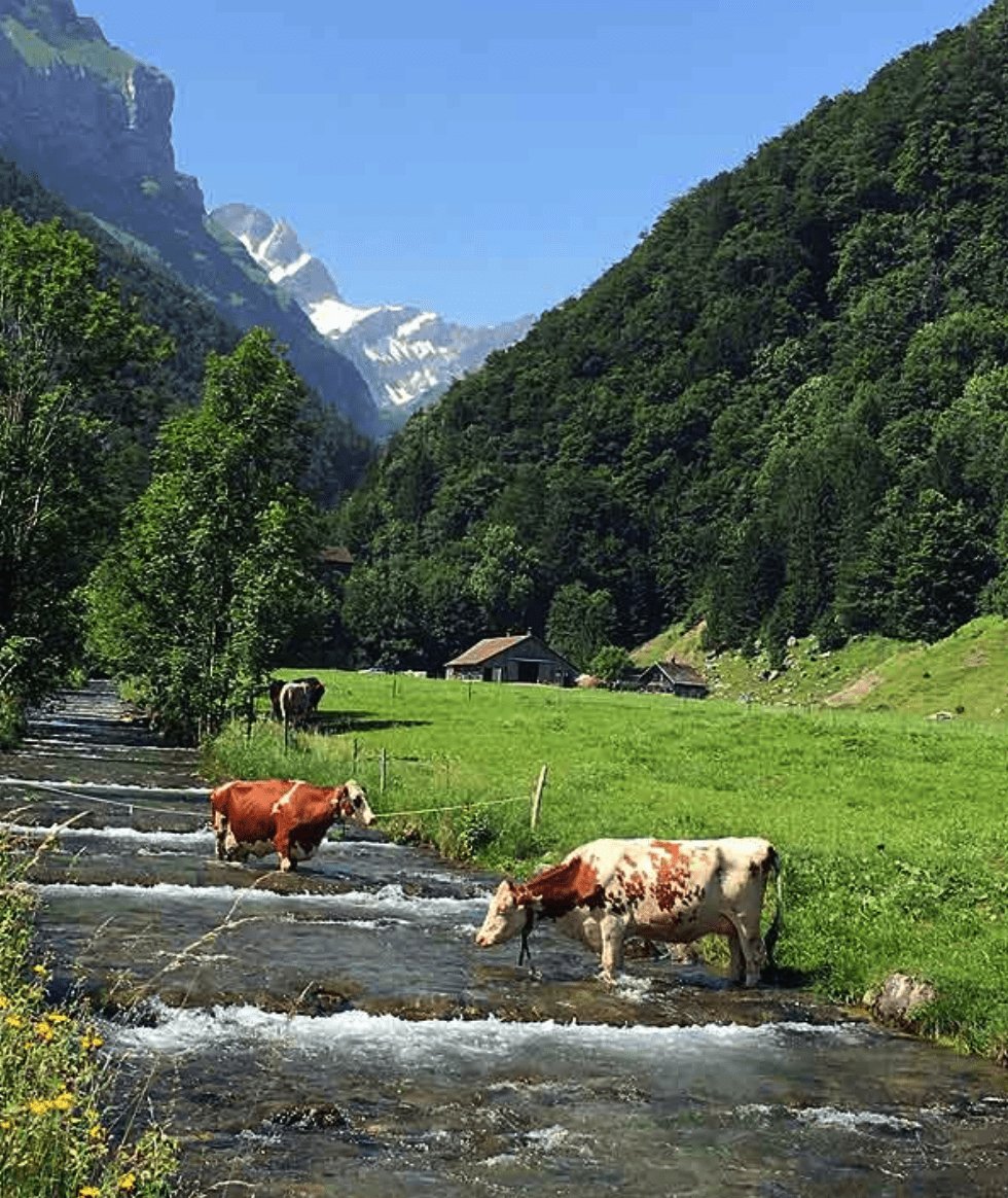 Beautiful alpine river in Switzerland with snow capped mountains